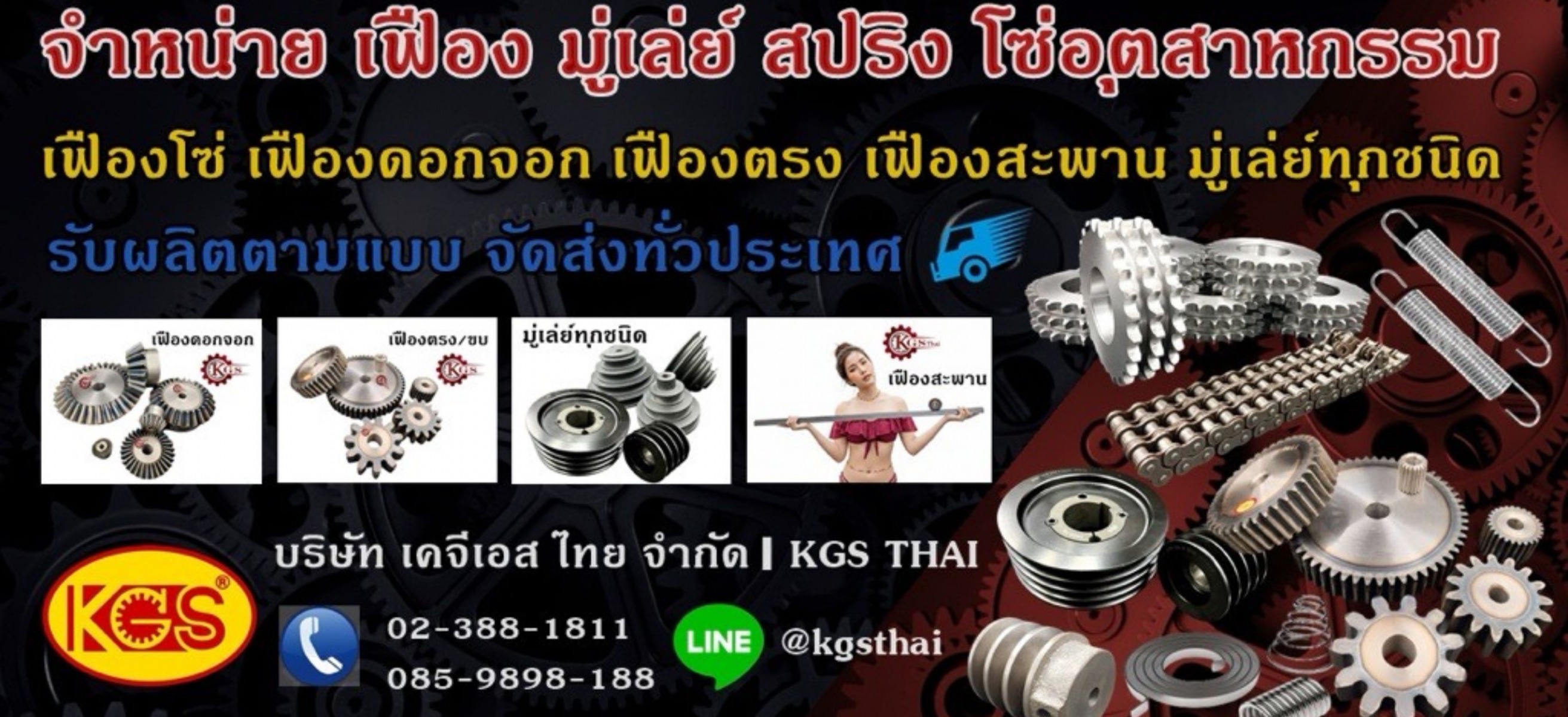 จำหน่ายเฟืองโซ่ เฟืองตรง เฟืองดอกจอก เฟืองสะพาน โซ่อุตสาหกรรม จำหน่ายเฟืองโซ่ เฟืองตรง เฟืองดอกจอก เฟืองสะพาน โซ่อุตสาหกรรม